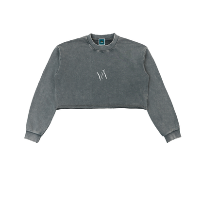 Snow Washed Raw Edge Cropped Sweatshirt