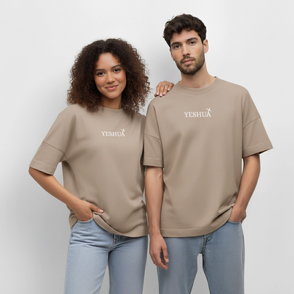 Oversized Unisex Organic T-shirt - stone
