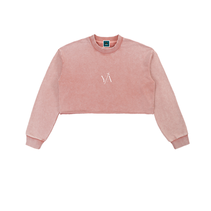 Snow Washed Raw Edge Cropped Sweatshirt
