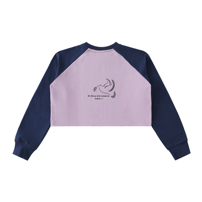 Raw-Hem Color-Block Raglan Crop Sweatshirt