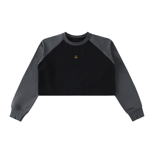 Raw-Hem Color-Block Raglan Crop Sweatshirt