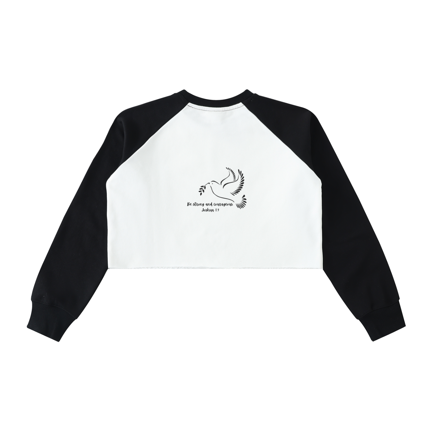Raw-Hem Color-Block Raglan Crop Sweatshirt
