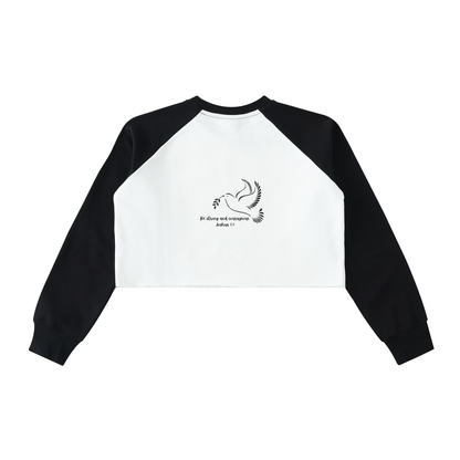 Raw-Hem Color-Block Raglan Crop Sweatshirt