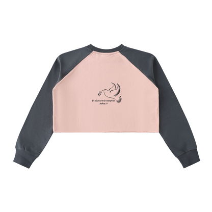 Raw-Hem Color-Block Raglan Crop Sweatshirt