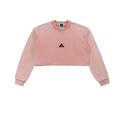 Snow Washed Raw Edge Cropped Sweatshirt